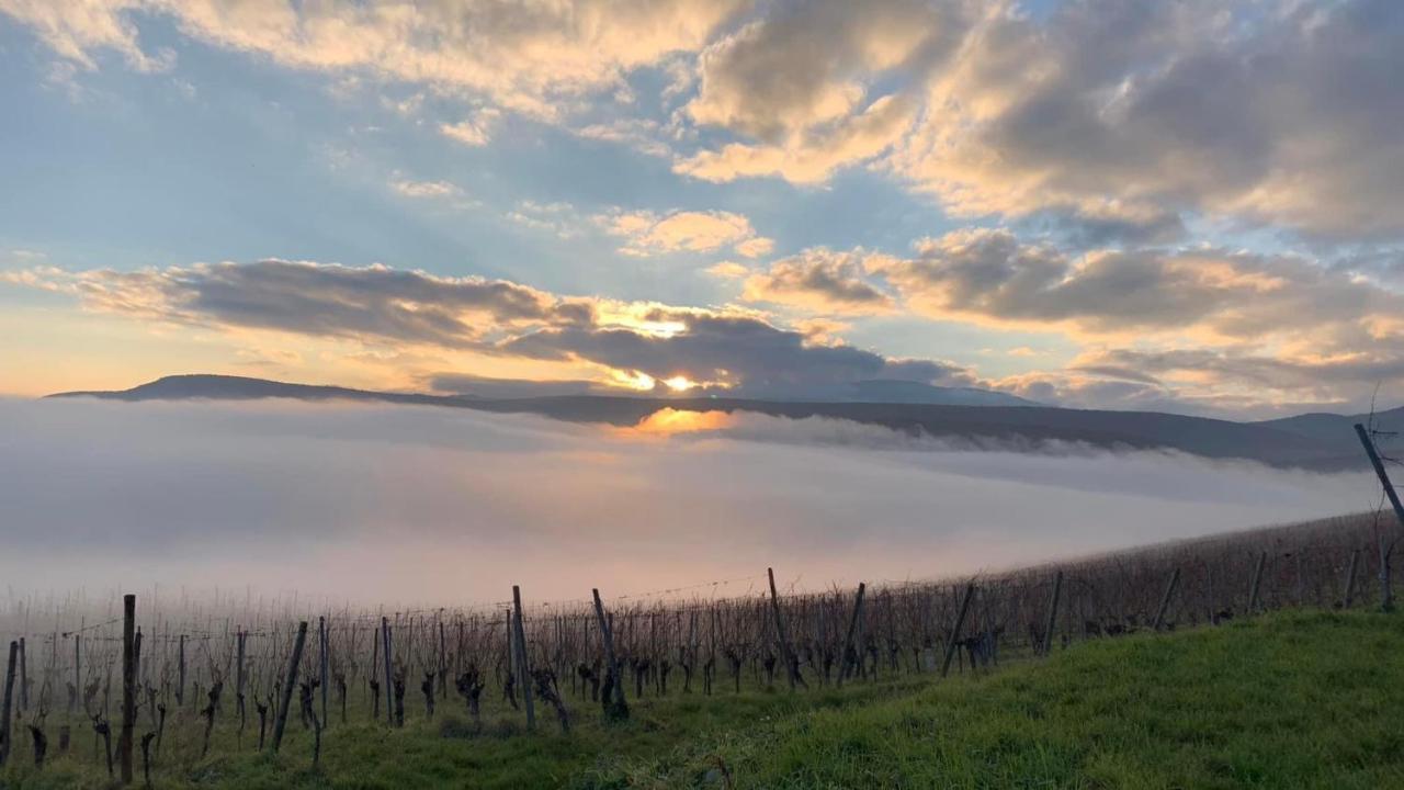 Un Petit Coin D'Alsace Villa Soultzmatt Dış mekan fotoğraf